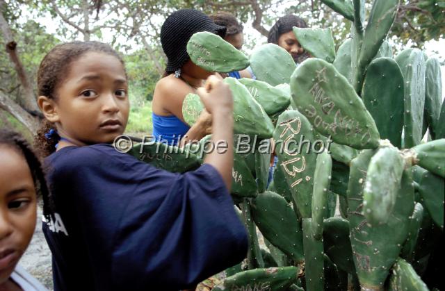 bresil pernambouc 08.JPG - Inscriptions sur des cactusPraia de GaibuCabo de Santo Agostinho au sud de RecifeNordestePernamboucoBrésil
